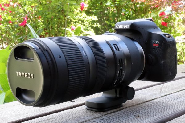 Tamron 70-200 Canon