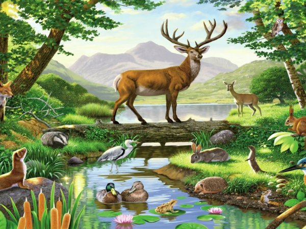 Дети и природа