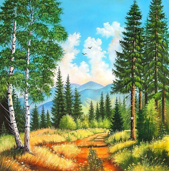 Алмазная мозаика Березовая роща 40x50