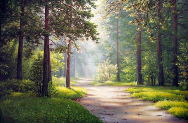 Лес цветными карандашами