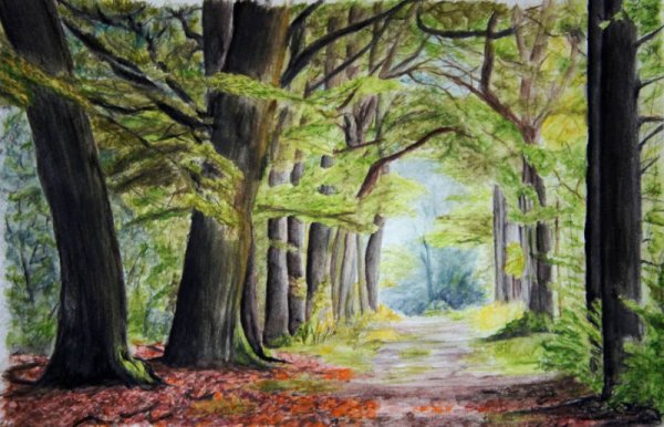 Картина природа