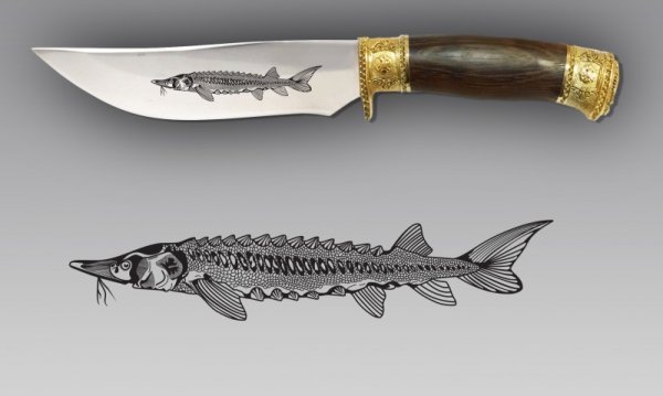 Рисунки на лезвии ножа эскизы