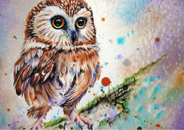 Совы мультяшные