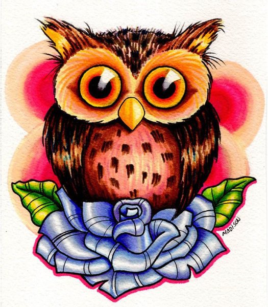 Филин цветными карандашами