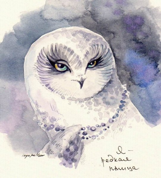 Зарисовки Совы