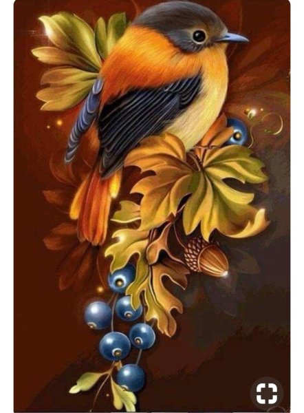 Красивая птица на ветке