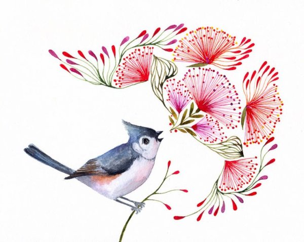 Иллюстрации животных и птиц