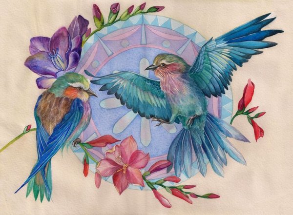 Цветы и птицы цветными карандашами