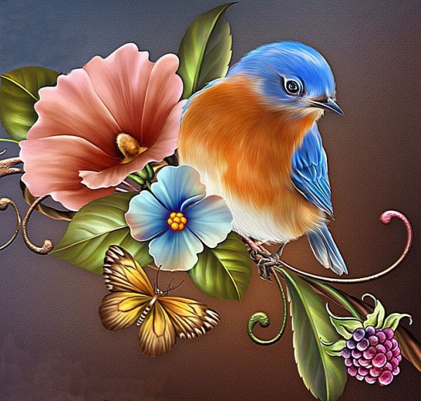 Красивые Рисованные цветы и птицы
