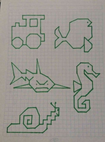 Фигуры по клеткам