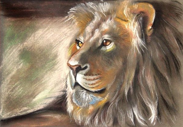 Картины пастелью Лев