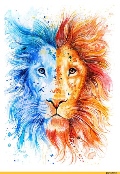 Лев цветными карандашами