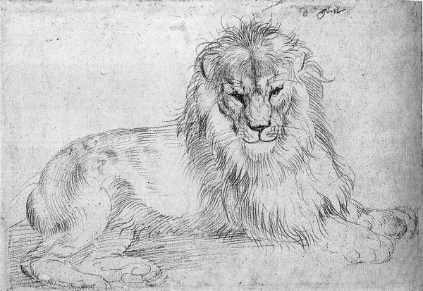 Нарисовать Льва