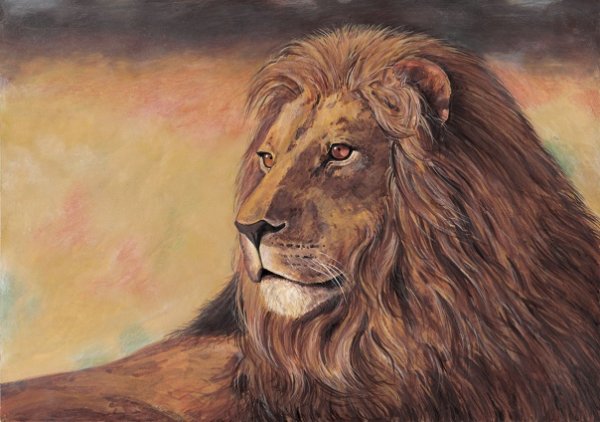 Лев карандашом тату