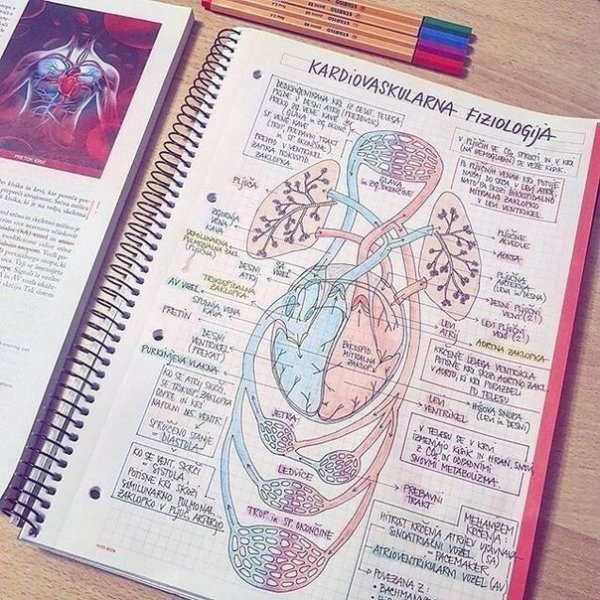 Конспекты медиков