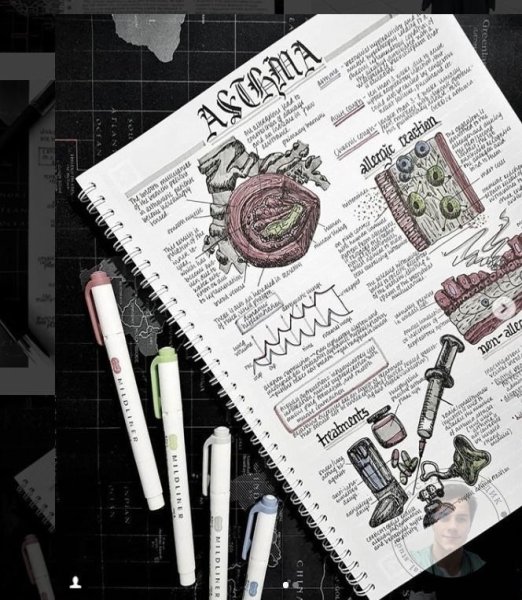 Анатомия конспекты