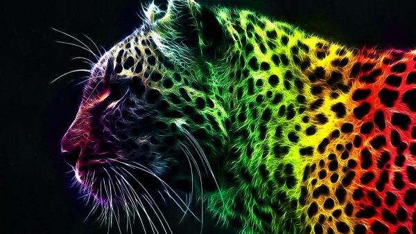 Фрактальные образы животных