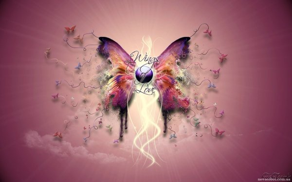 Бабочки на камушках