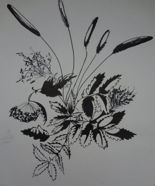 Графика тушью