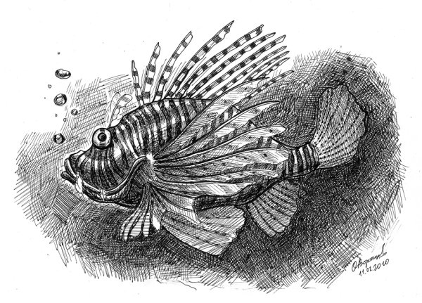 Наталья Колпакова художница