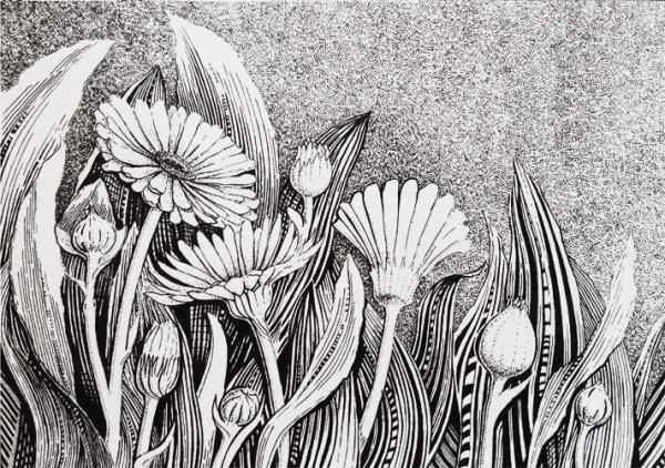 Перо для рисования