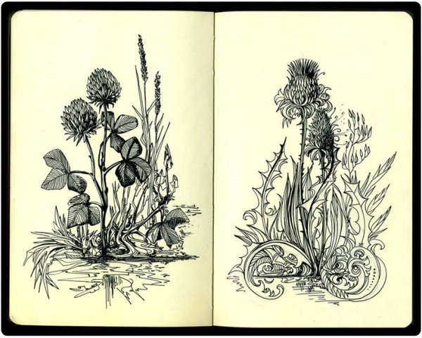 Екатерина Голанд Графика