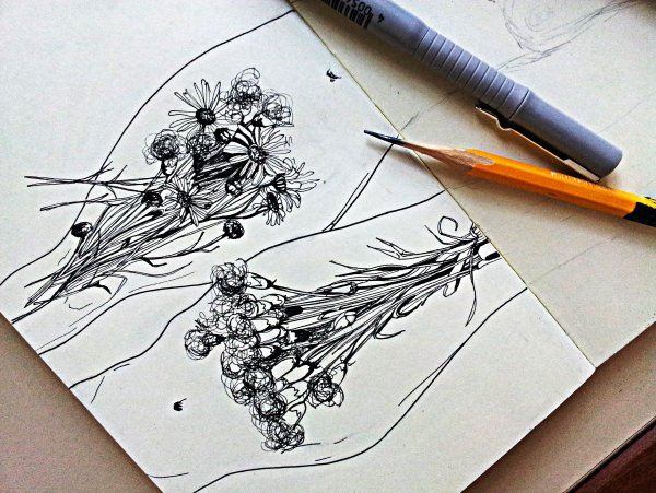 Цветы тушью и пером