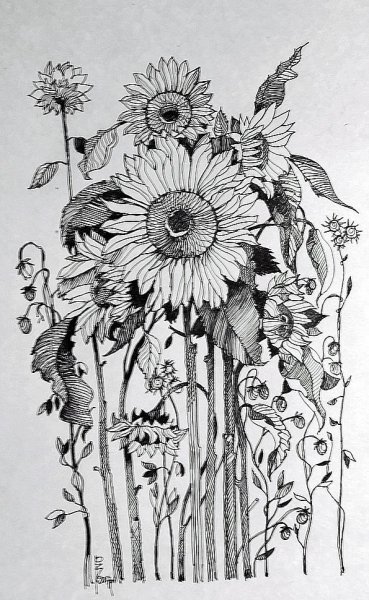 Перо для рисования тушью