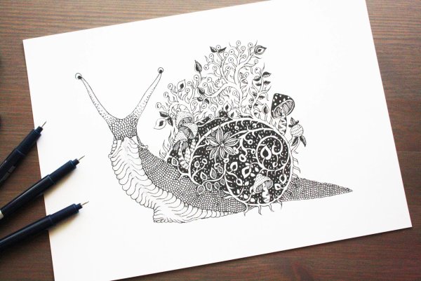 Графические рисунки тушью