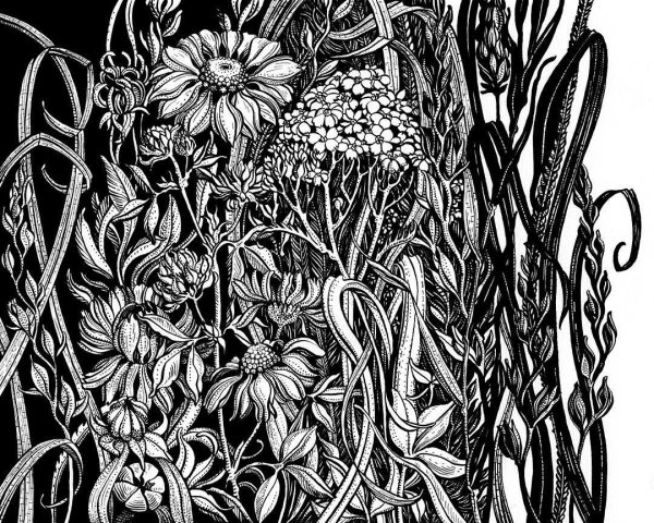 Перо для рисования тушью