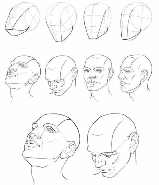 Портрет в разных ракурсах