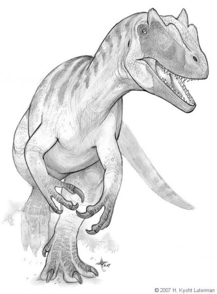 Аллозавр анатомия