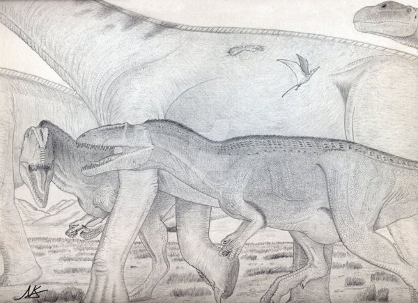 Кархародонтозавр раскраска