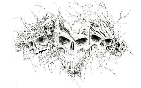 Череп рисунок