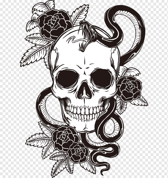 Череп эскиз