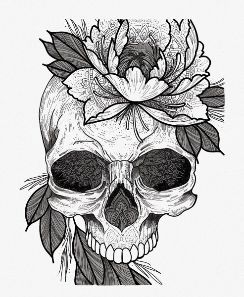Красивый череп эскиз