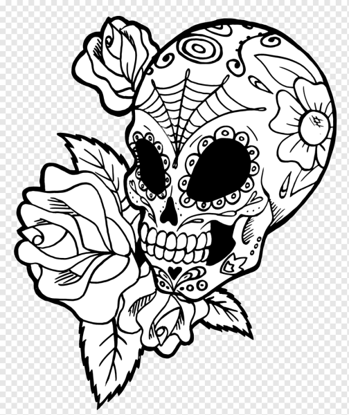 Раскраска череп