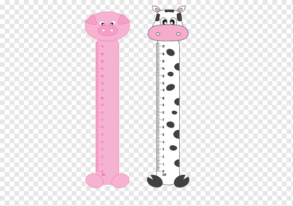 Ручка карандаш линейка