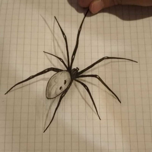 Животные карандашом