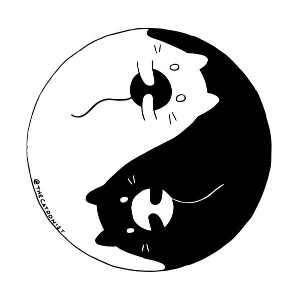 Котики Инь Янь рисунок