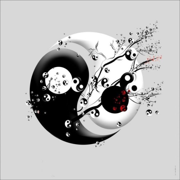 Инь Янь необычный