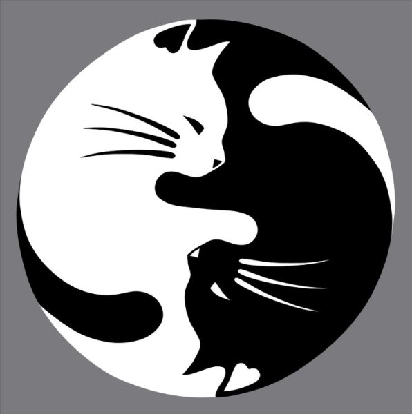 Инь Янь рисунок