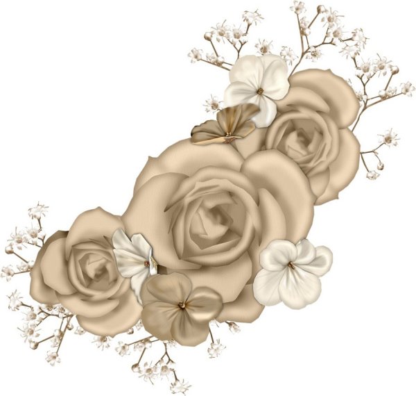 Бежевые цветы на белом фоне