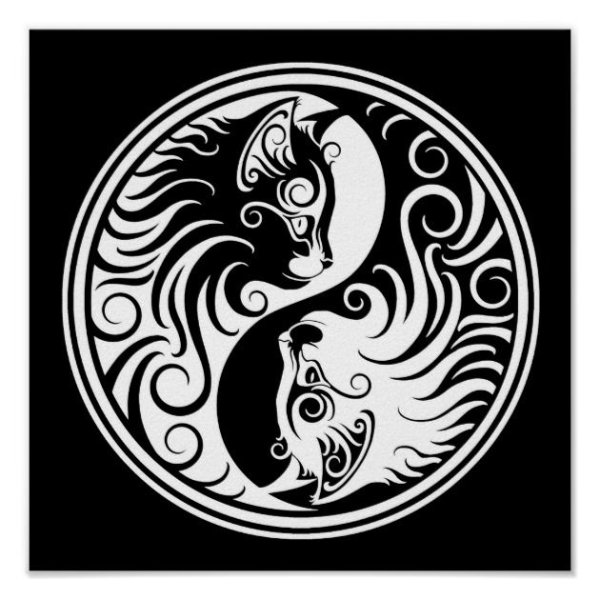 Кицунэ Инь Янь