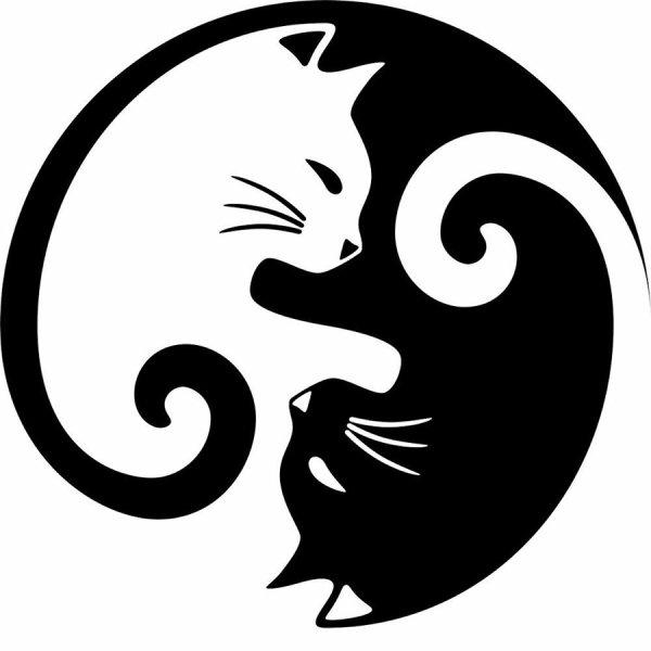 Векторный рисунок Инь Янь