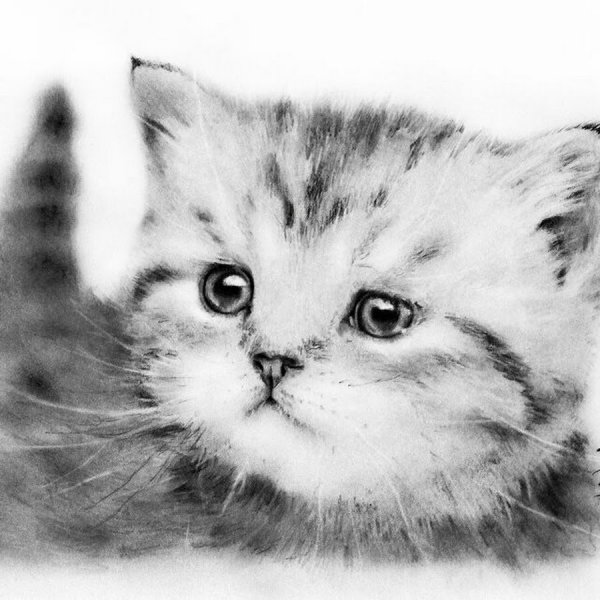Котенок рисунок