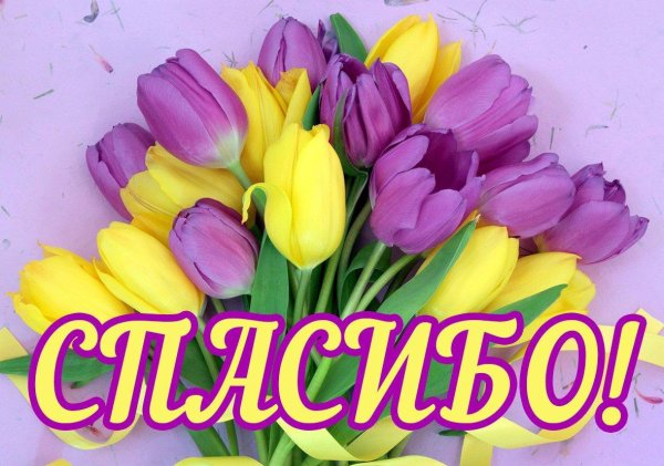 Открытки спасибо большое