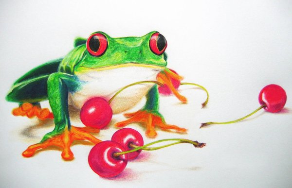 Лягушонок красками