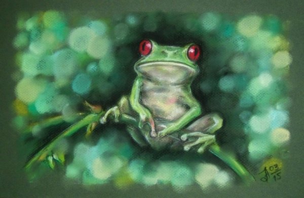 Красивая лягушка рисунок