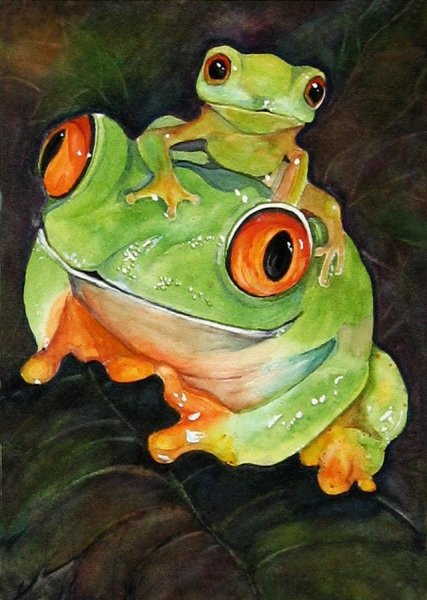 Лягушка рисунок